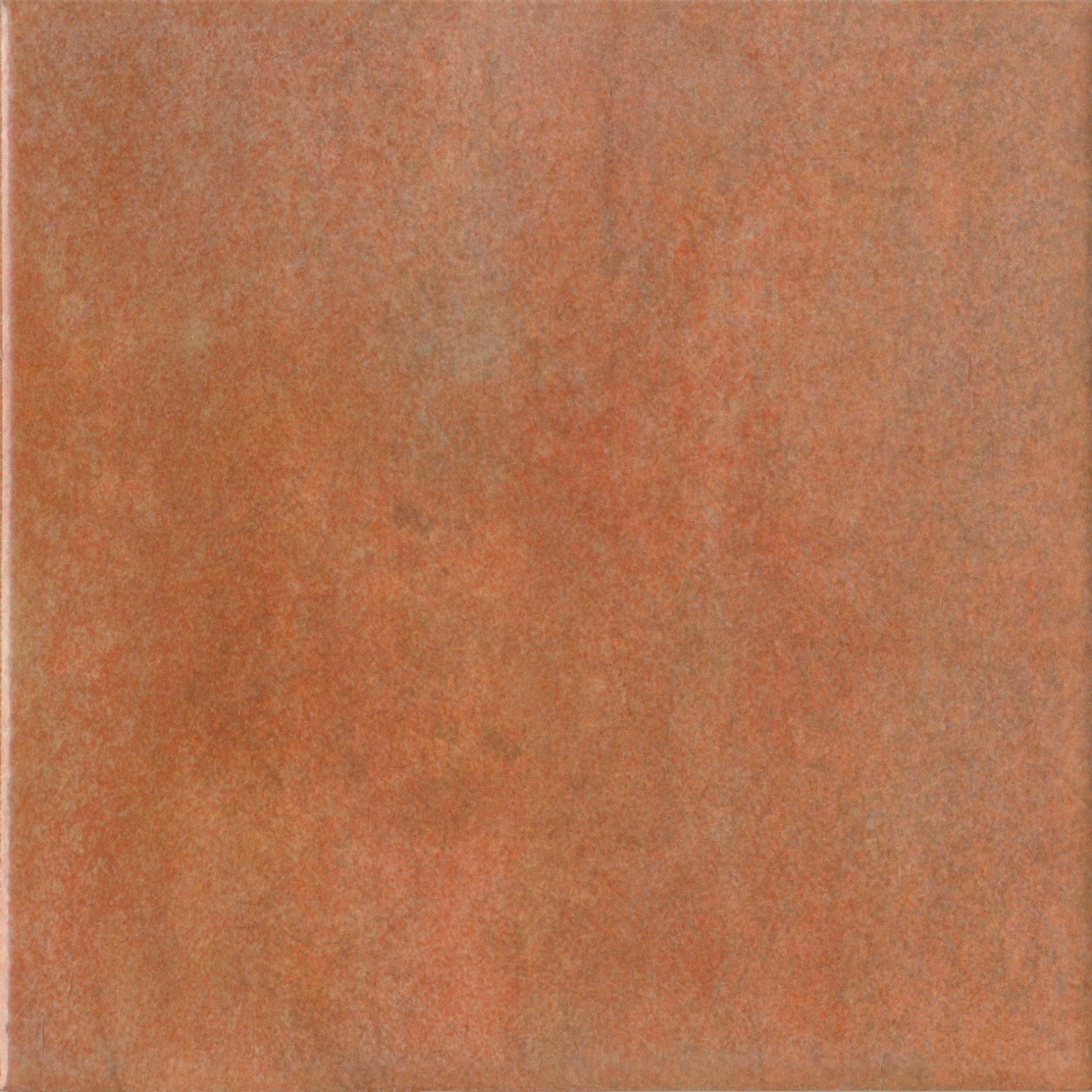 1735951410653009.jpg